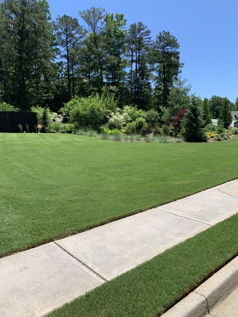 Lush green turf, free of weeds and expertly fertilized.
